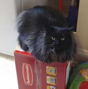 Meet your Posher, Judy